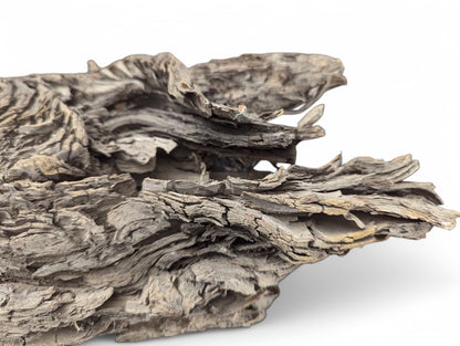 A piece of grey-brown wood shows numerous thin, overlapping, deeply fissured, and scaly layers.