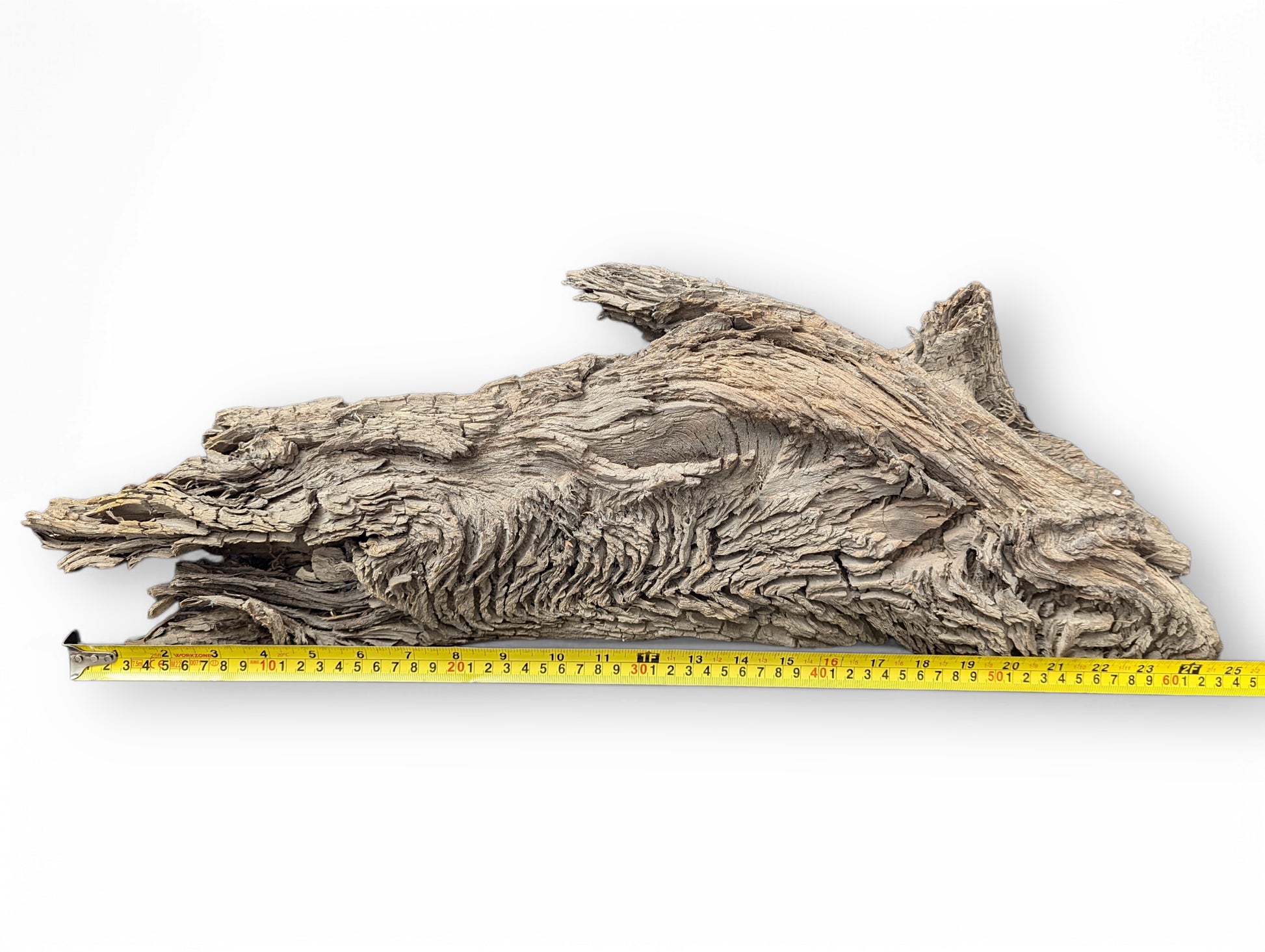 Light grey-brown, gnarled wood with intricate deep furrows and cracks, measured by a yellow tape.