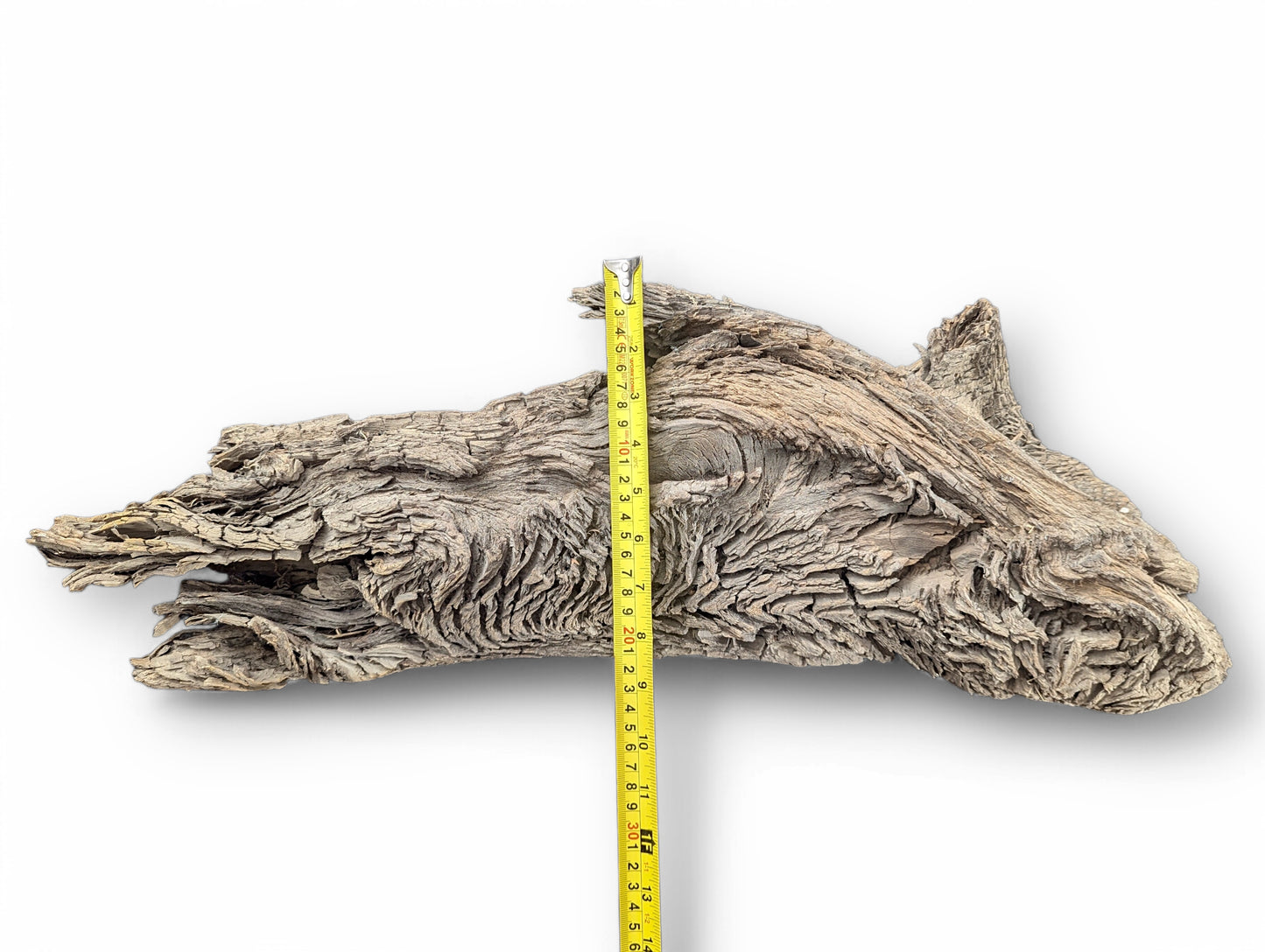An irregular, light grey-brown wood branch displays deep furrows and fibrous layers, measured by a yellow tape.