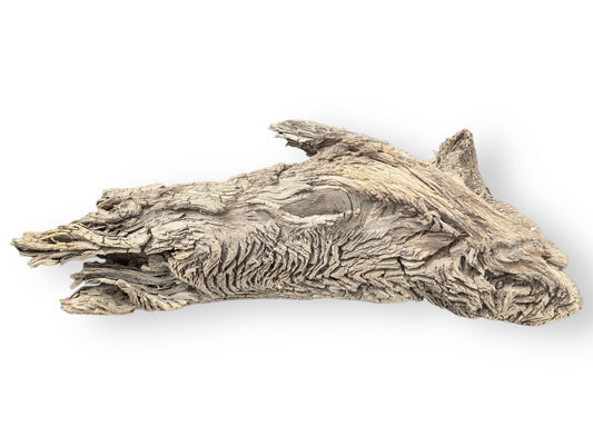 Irregularly shaped light brown-grey aged wood piece with deep furrows, cracks, visible on white background.