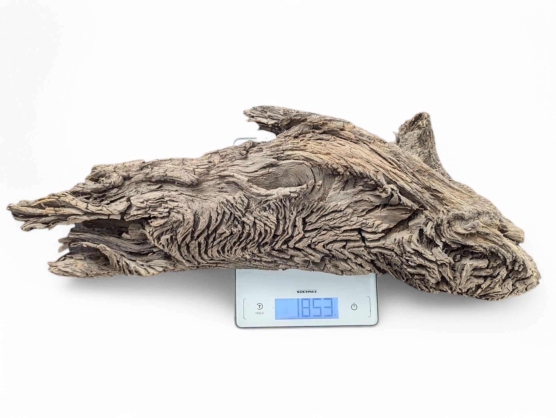 Gnarly, weathered grey-brown wood displays deep furrows and layered textures on a digital scale (1853g).