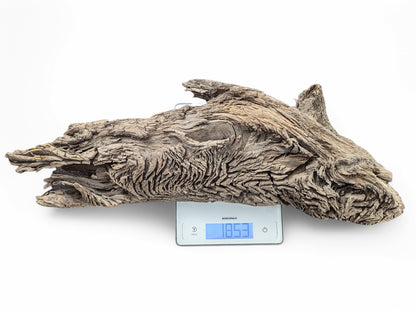 Gnarly, weathered grey-brown wood displays deep furrows and layered textures on a digital scale (1853g).