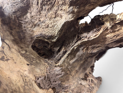 Close-up of an irregular, aged wood blank with deeply textured, gnarled brown surface and openings.