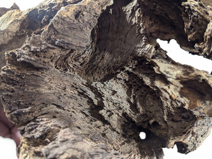 Close-up of an irregular, dark brown and tan aged wood piece with deep grooves and a small hole.