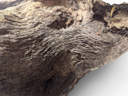 Deeply grooved, weathered dark brown wood blank shows cracks and gnarled texture against a white background.