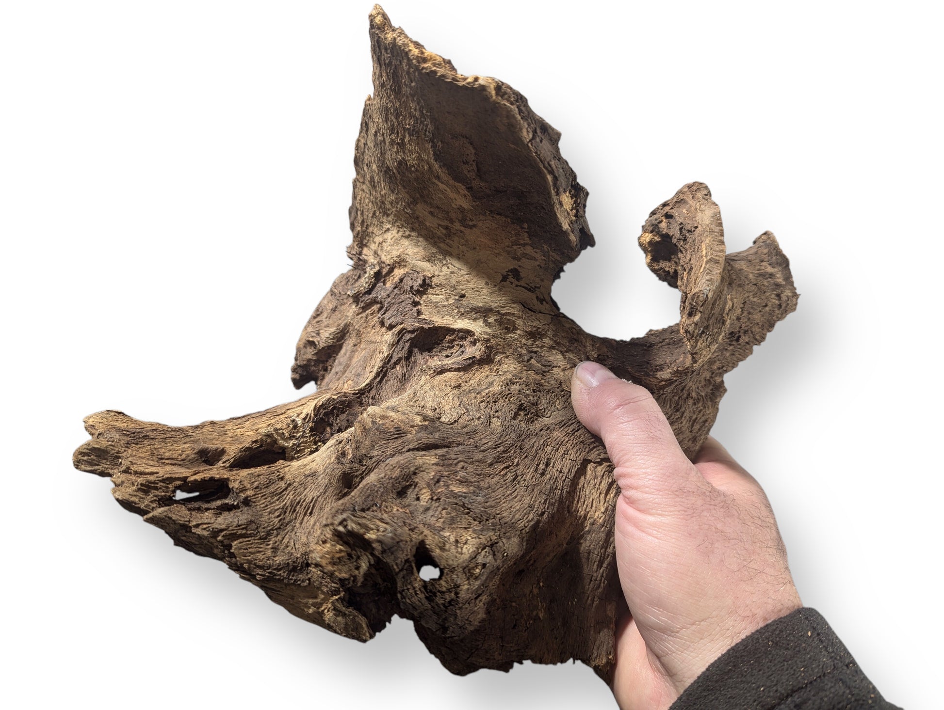 A hand holds an irregularly shaped, dark brown and tan aged wood blank with rough, grooved texture.