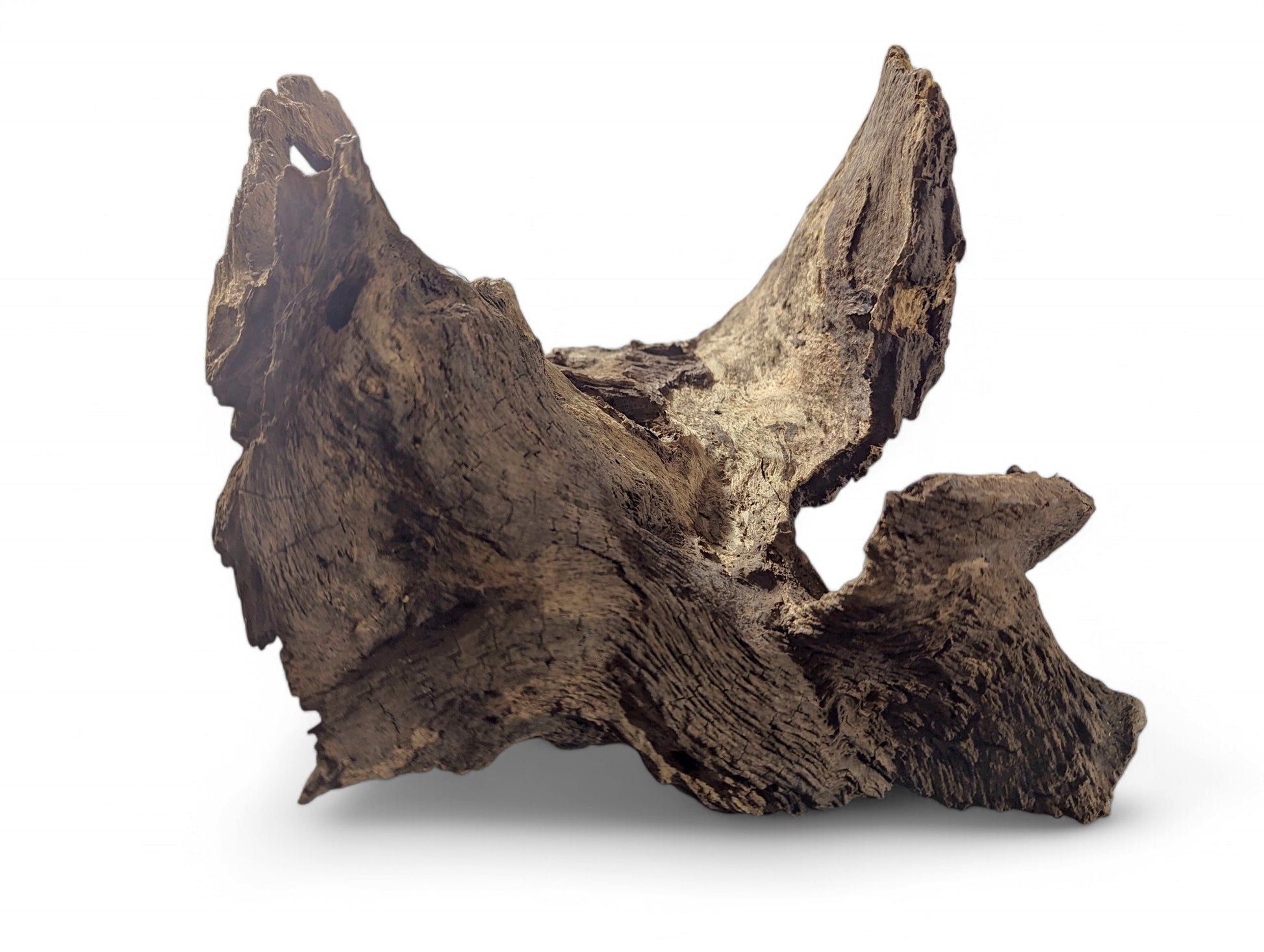 Dark brown aged natural wood blank displaying an irregular, gnarled shape and deeply grooved texture.