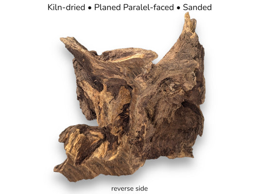 The rugged reverse side of a gnarled timber piece reveals deep fissures and jagged edges.