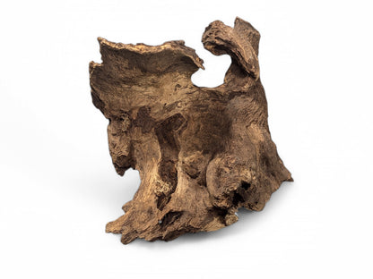 An irregularly shaped, dark brown aged wood blank with a deeply textured, gnarled, and fissured surface.