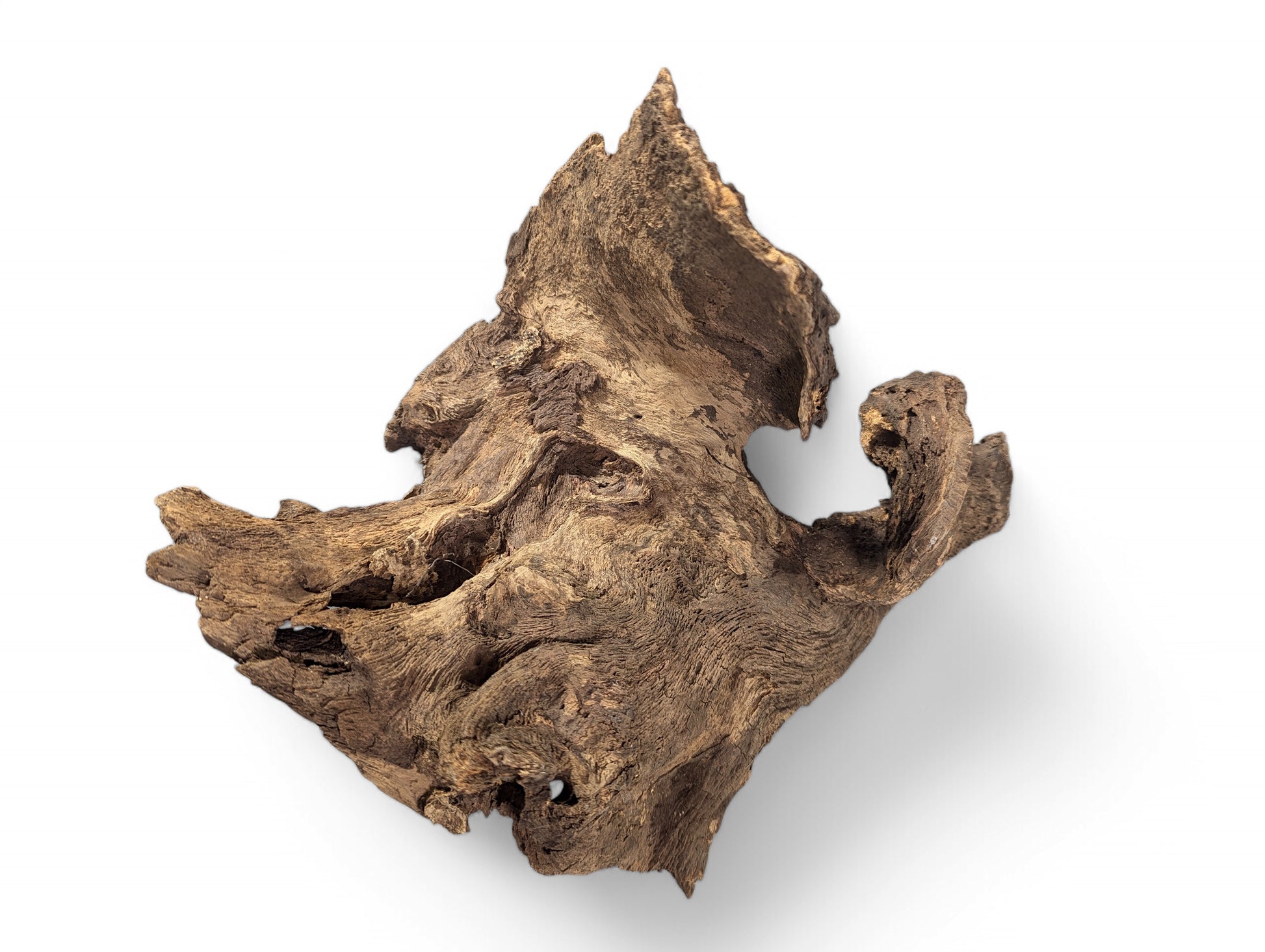 Gnarled dark brown aged wood blank with an irregular shape and profoundly textured, weathered surface.