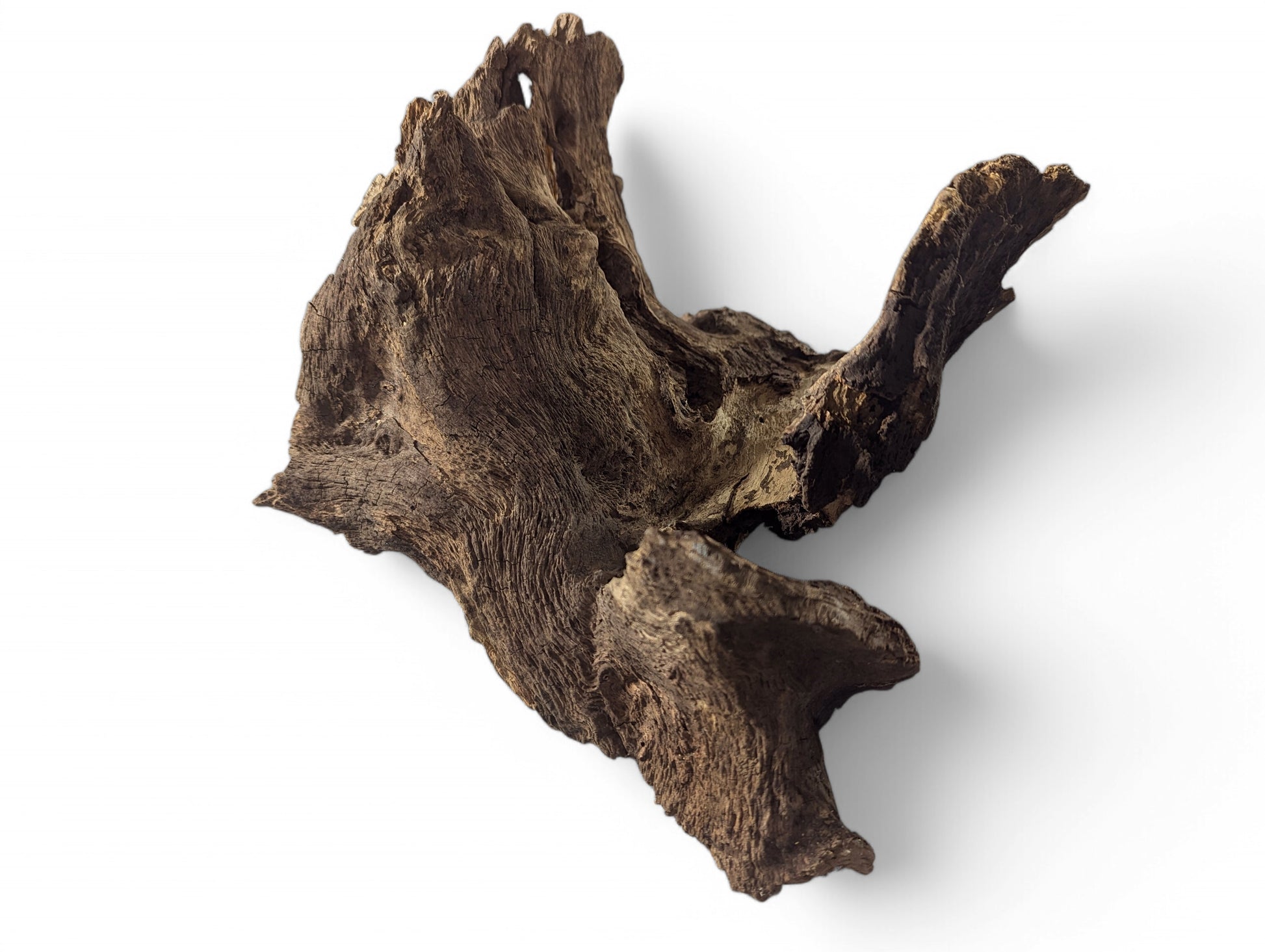 Irregularly shaped, dark brown aged wood piece with deeply grooved, gnarled texture on a white background.