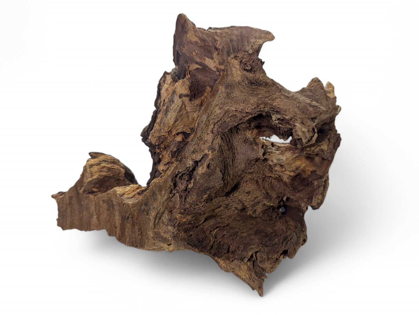 Organic-shaped dark brown wood blank with a rugged, deeply textured surface and several natural openings.