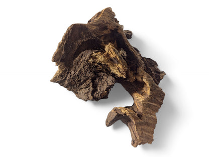 A freeform piece of earthy brown wood, featuring a rugged, deeply fissured surface and open crevices.