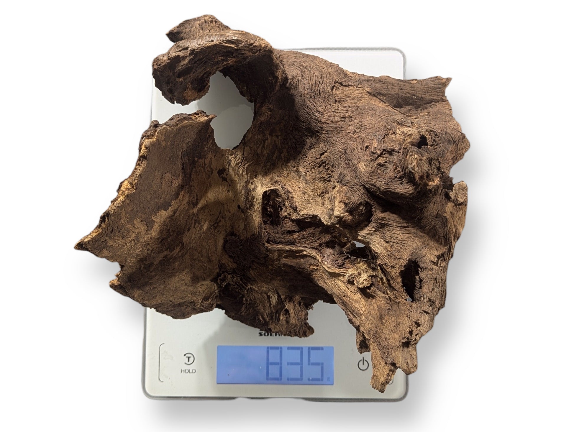 Irregular, gnarled dark brown wood with deep textures and openings, weighing 835 on a digital scale.
