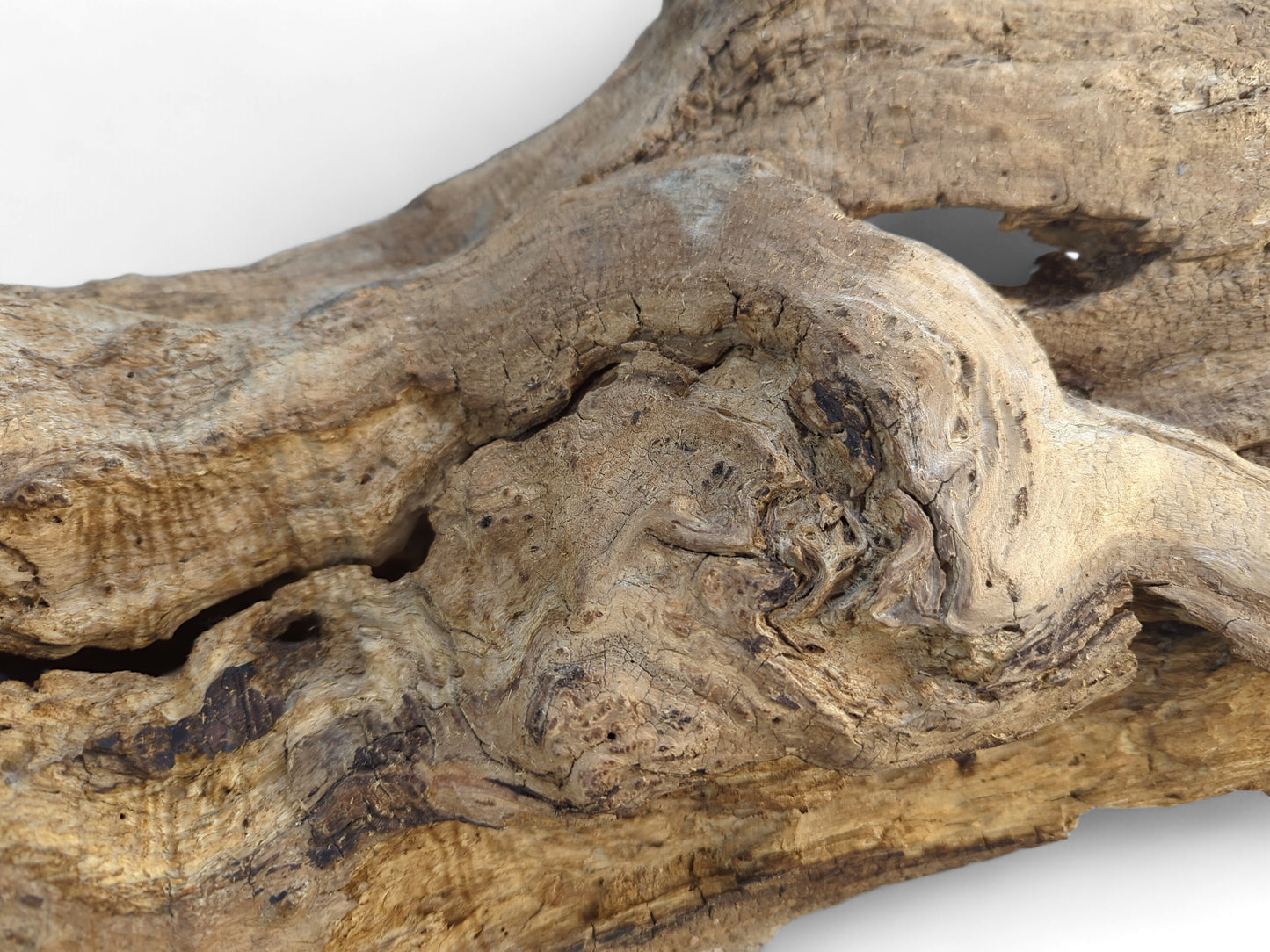 Weathered light brown driftwood with a gnarled surface, visible cracks, fibrous texture, and a prominent hollow.
