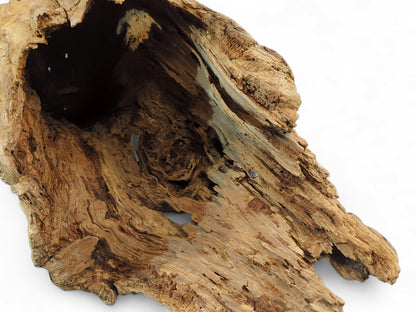 Weathered brown driftwood piece with deep hollow cavity and intricate gnarled texture against white.