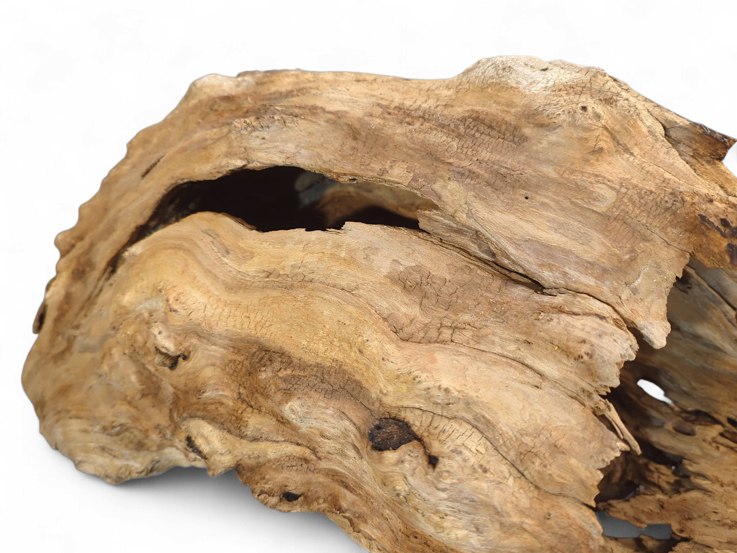 Rough, light brown driftwood piece with a prominent dark hollow cavity and intricate, gnarled surface texture.
