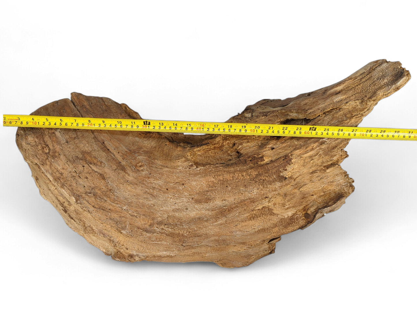 Earthy brown driftwood piece, with a prominent concave center, measured by a yellow tape across its length.