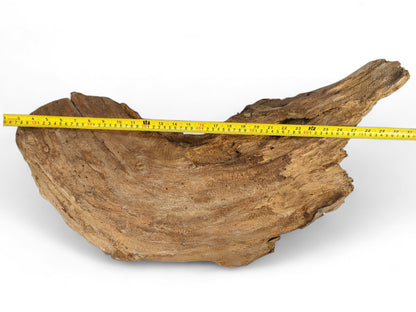 Earthy brown driftwood piece, with a prominent concave center, measured by a yellow tape across its length.
