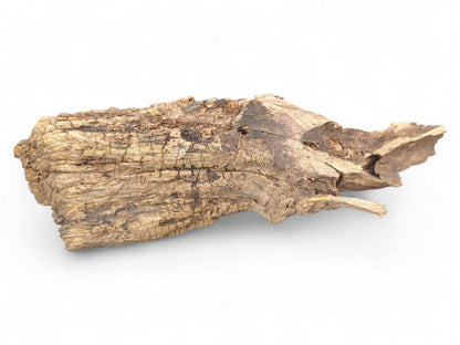 Rough, weathered, irregularly shaped light and dark brown driftwood log with deep cracks on white.