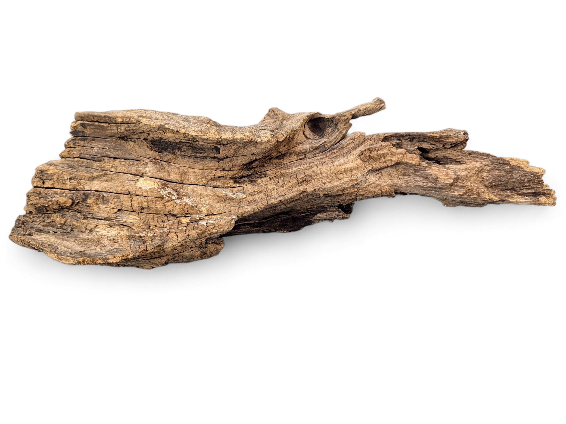An irregularly shaped piece of natural, weathered brown driftwood with rough, cracked texture on a white background.