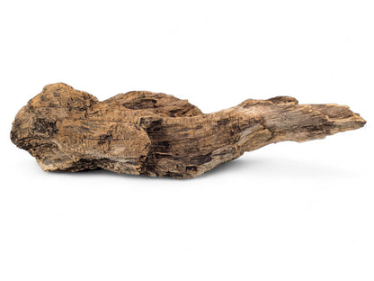 Weathered dark brown driftwood, with a rugged, elongated form and intricate cracked texture, on white.