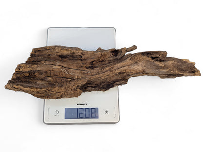 Rough, dark brown driftwood with deep cracks and furrows, sitting on a digital scale displaying 1208g.