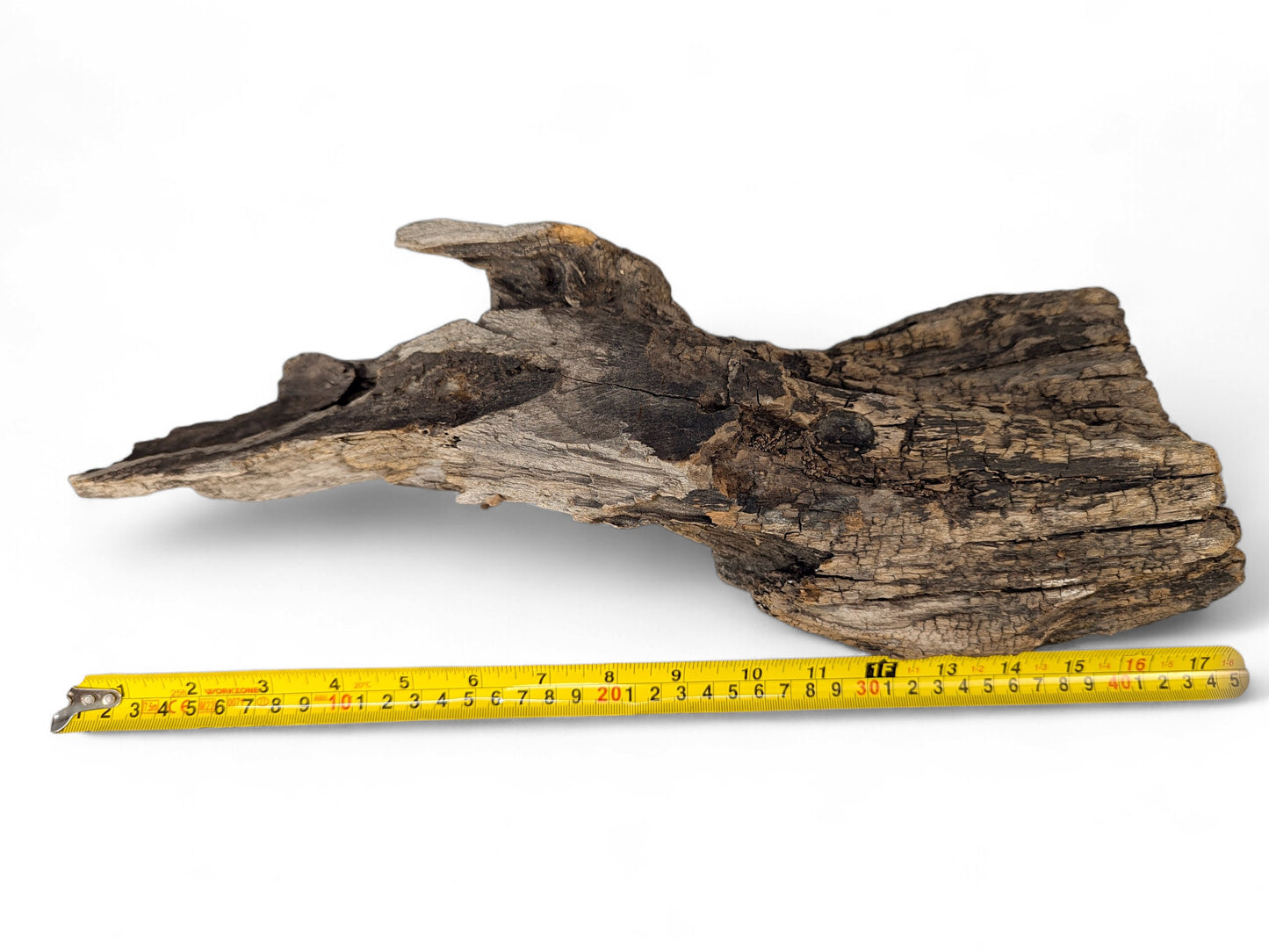 Weathered, dark brown driftwood with deep cracks and a rough texture, measured by a yellow tape.