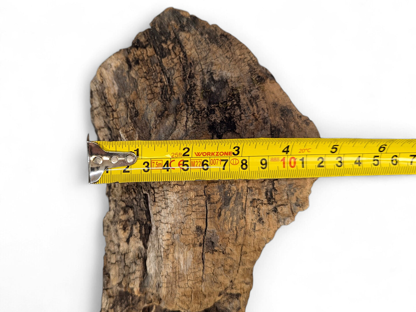 Brown driftwood with deep cracks and textured surface, being measured by a yellow tape.