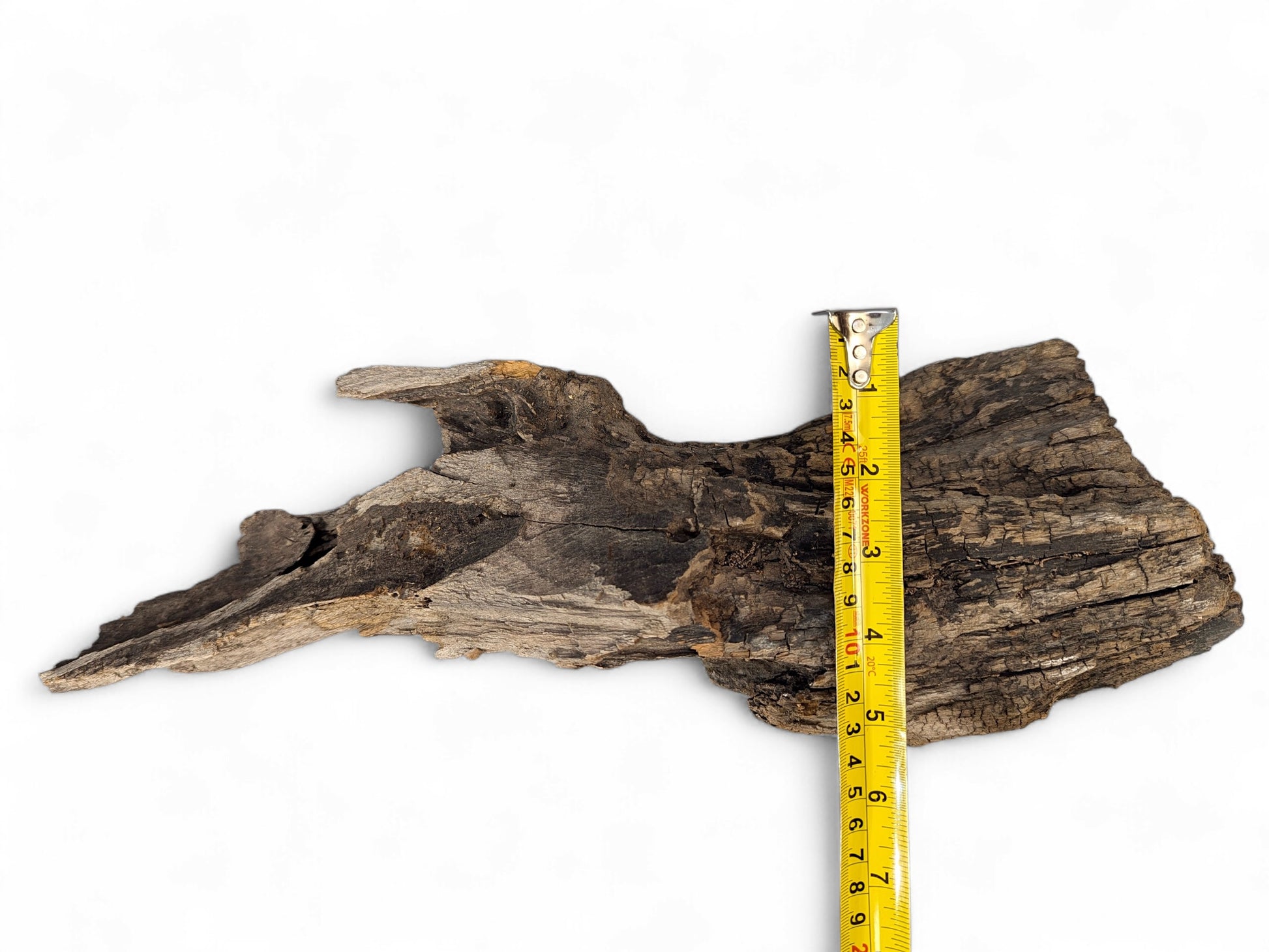 Irregularly shaped, dark brown driftwood with deep cracks and a yellow measuring tape placed on it.