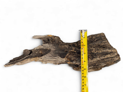 Irregularly shaped, dark brown driftwood with deep cracks and a yellow measuring tape placed on it.