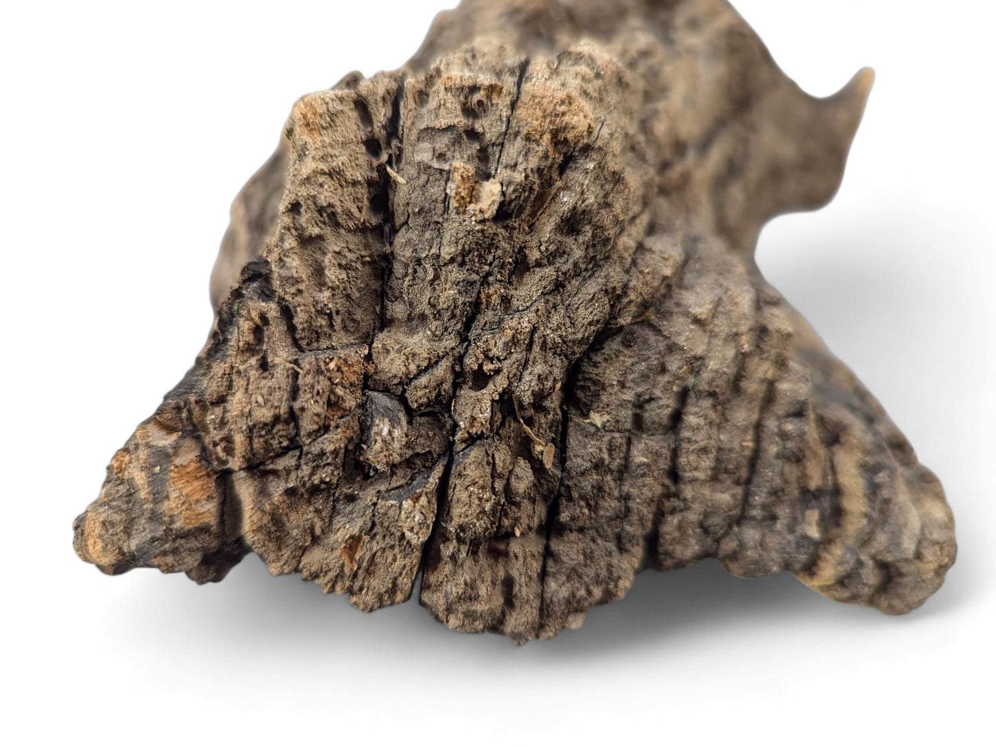 Gnarled, dark brown driftwood piece featuring deeply cracked, weathered texture and an irregular shape on white.