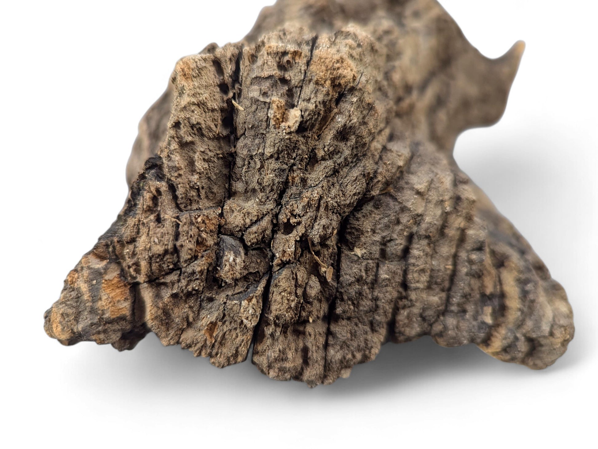 Gnarled, dark brown driftwood piece featuring deeply cracked, weathered texture and an irregular shape on white.