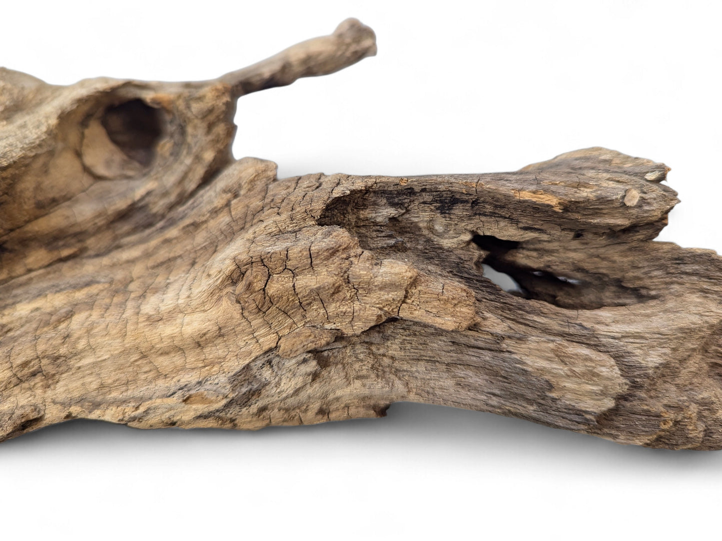 Light to dark brown, irregularly shaped driftwood featuring deep cracks and an organic hole on white.