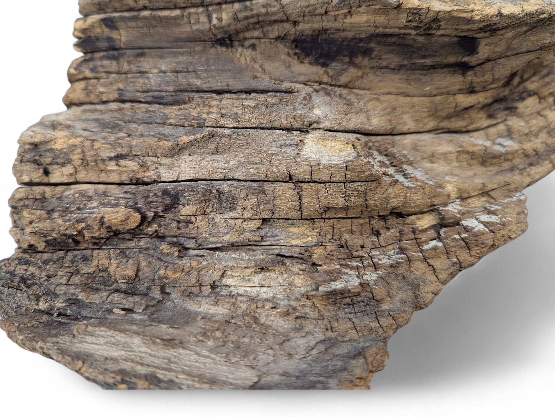 A segment of wood displaying a heavily grooved and fractured surface, with brown, grey, and white tones.