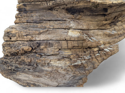 A segment of wood displaying a heavily grooved and fractured surface, with brown, grey, and white tones.