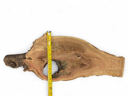 Horizontal wood slice displaying dark bark, reddish-brown grain, a natural void, and a yellow measuring tape.
