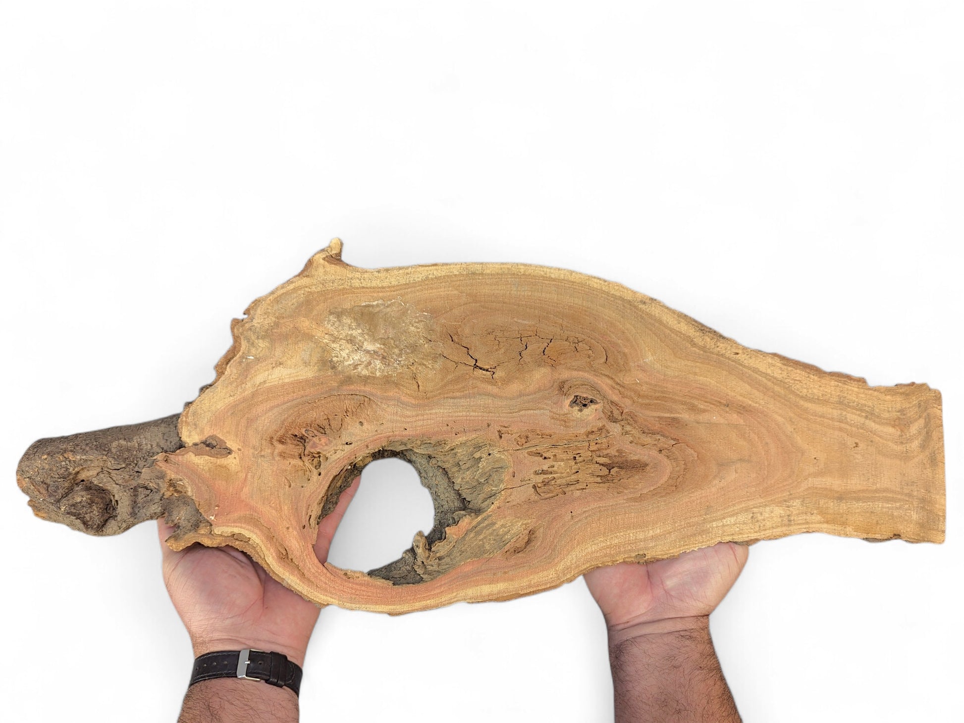 Two hands hold an irregular wood slice, exposing light brown grain, rough bark, and a central hole.