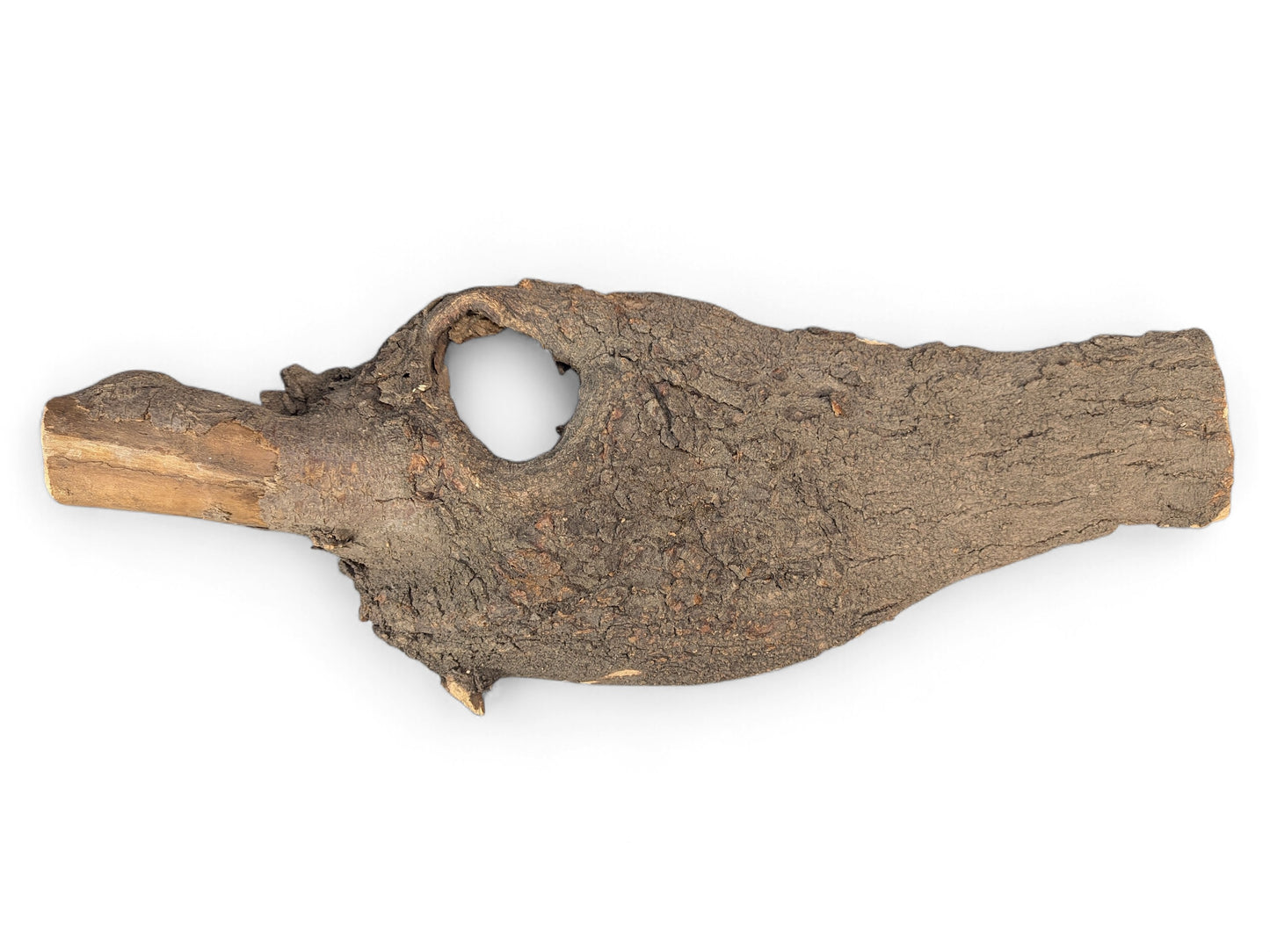 Dark, textured bark covers this irregular wood piece featuring a central hole and exposed lighter wood.