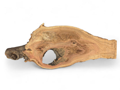 Natural, irregularly shaped wood slice showing light brown grain, dark bark edge, and a central hollow.