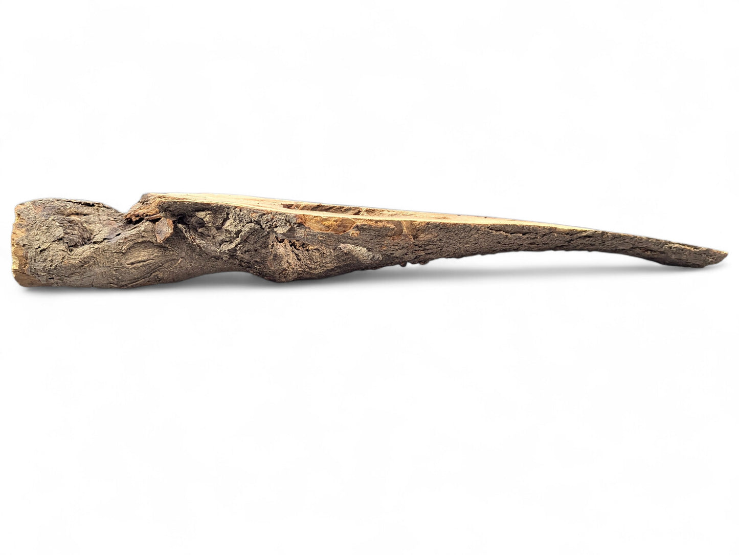 A long, hollowed wood branch segment featuring rough dark bark and smooth, light-colored interior wood.