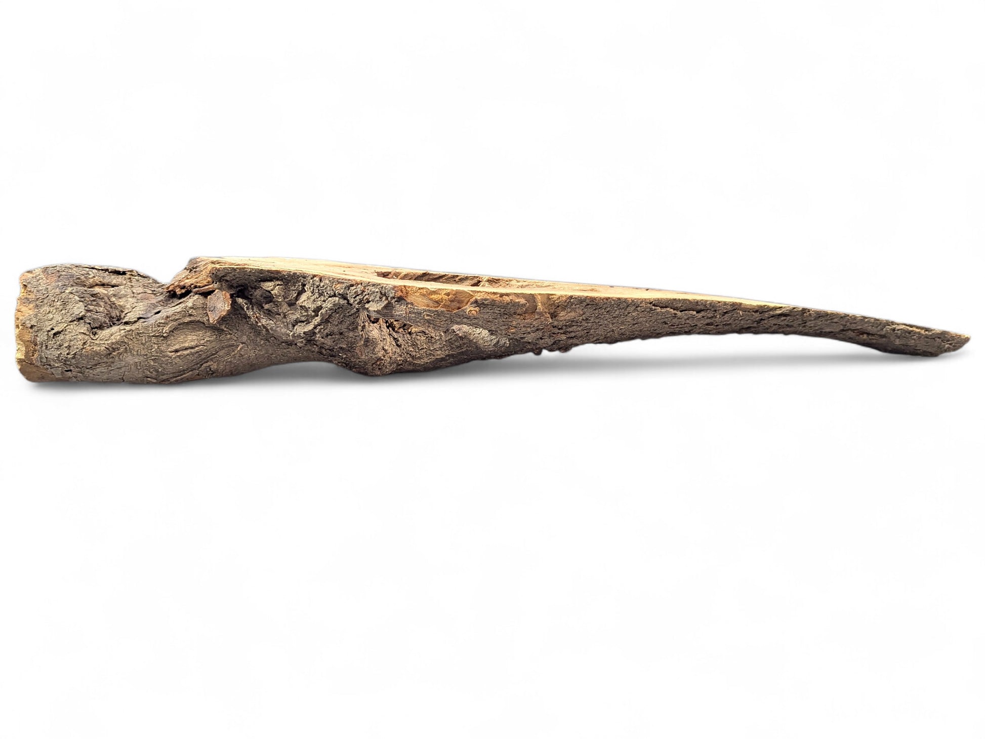 A long, hollowed wood branch segment featuring rough dark bark and smooth, light-colored interior wood.