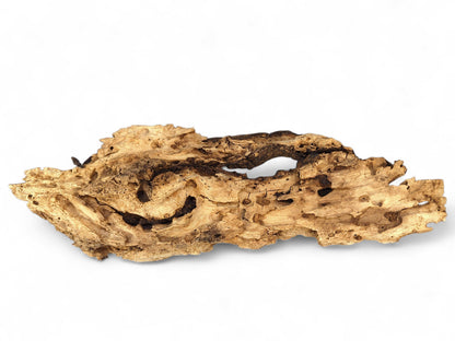 Textured, irregular golden-brown wood piece featuring numerous holes and dark organic cavities on white.