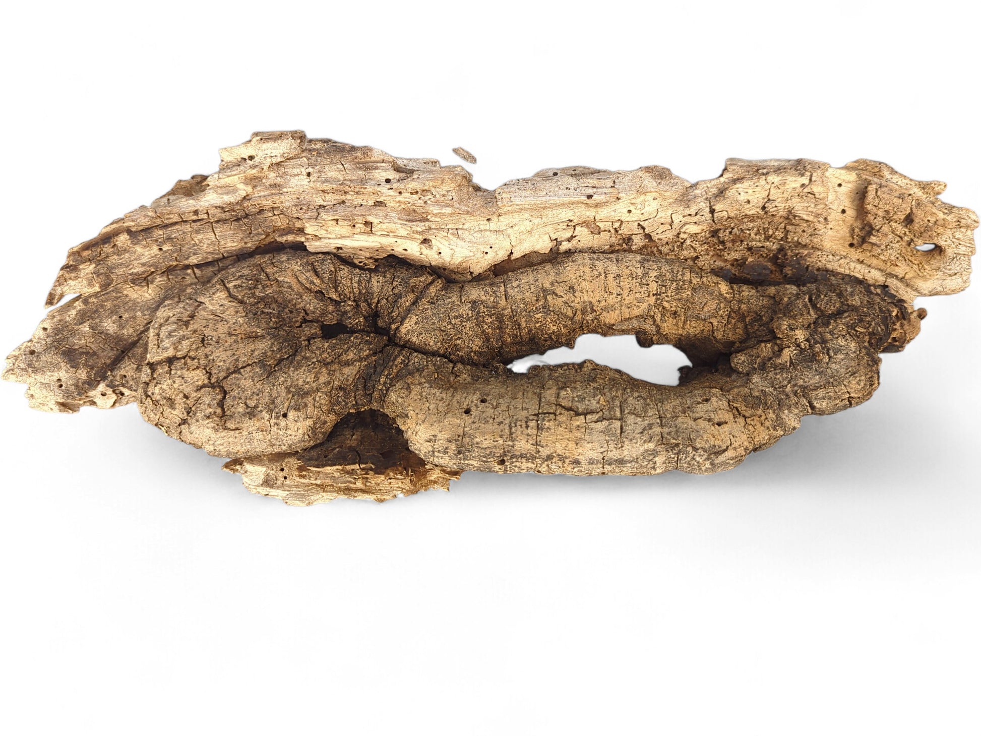 Weathered, gnarled brown and tan wood piece with deep cracks, small holes, and a distinct central hollow.