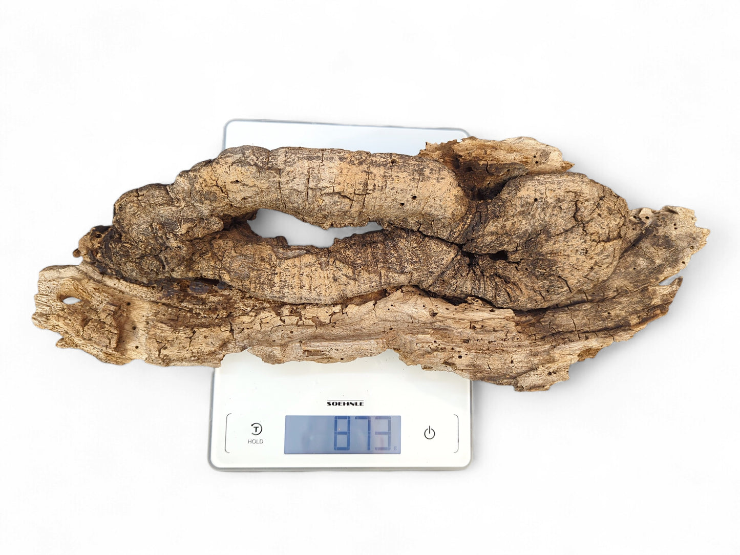 Textured, dark brown wood, deeply cracked with organic cavities, on a digital scale showing 873.