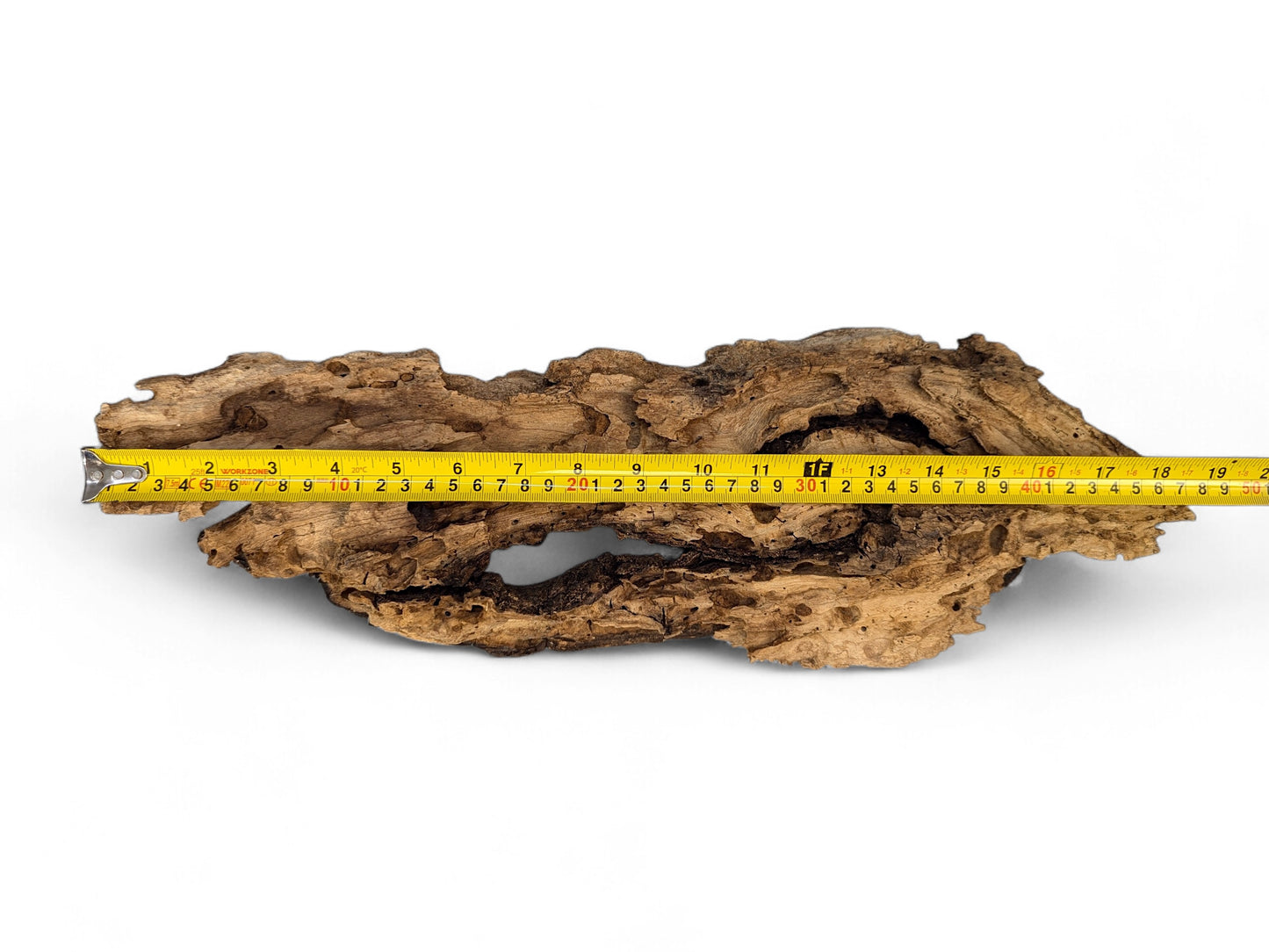 Irregular, weathered brown wood, deeply cracked with cavities and holes, measured by a yellow tape measure.