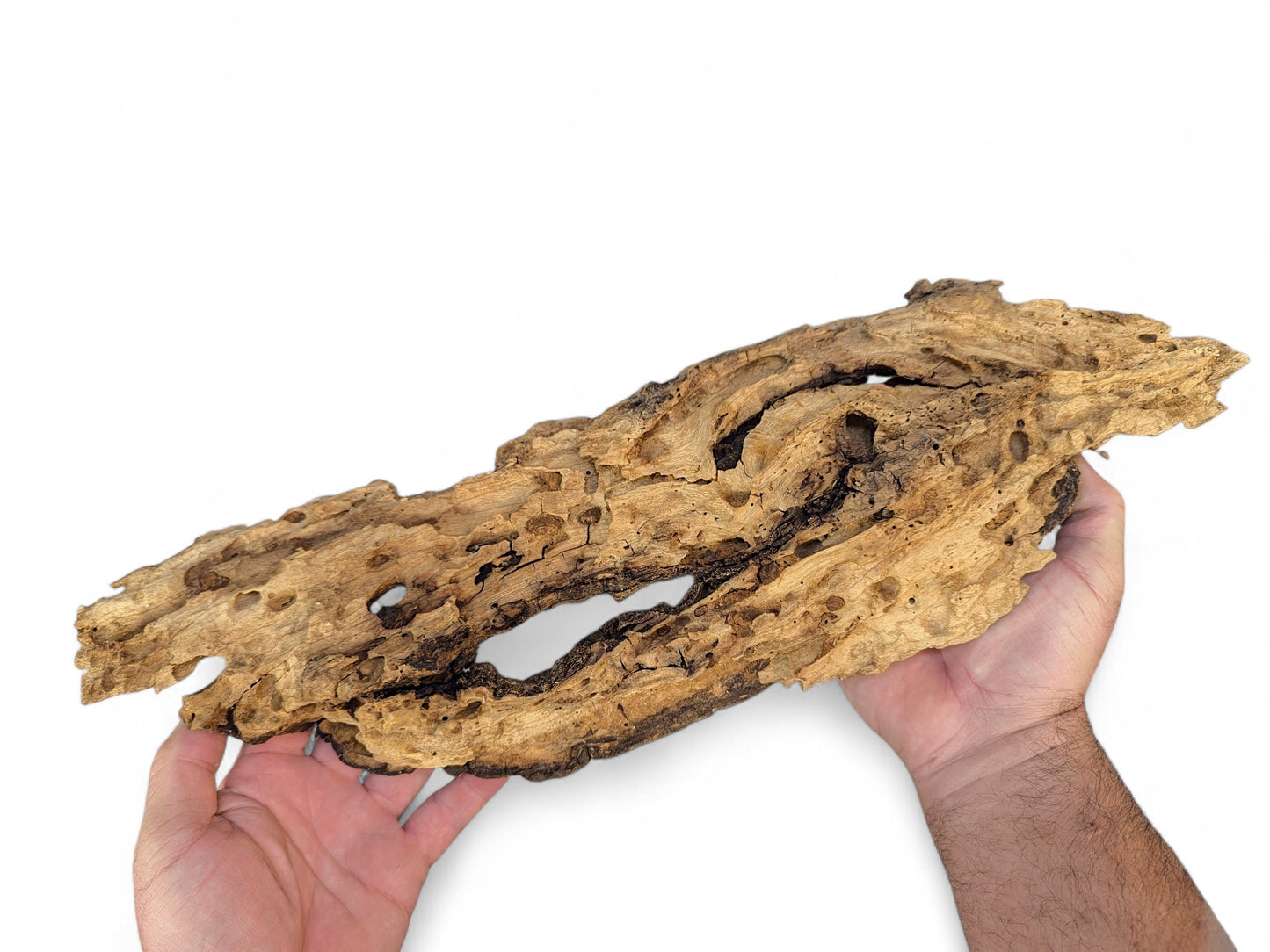 Irregular brown wood piece with numerous holes and deep organic cavities, held by two hands.
