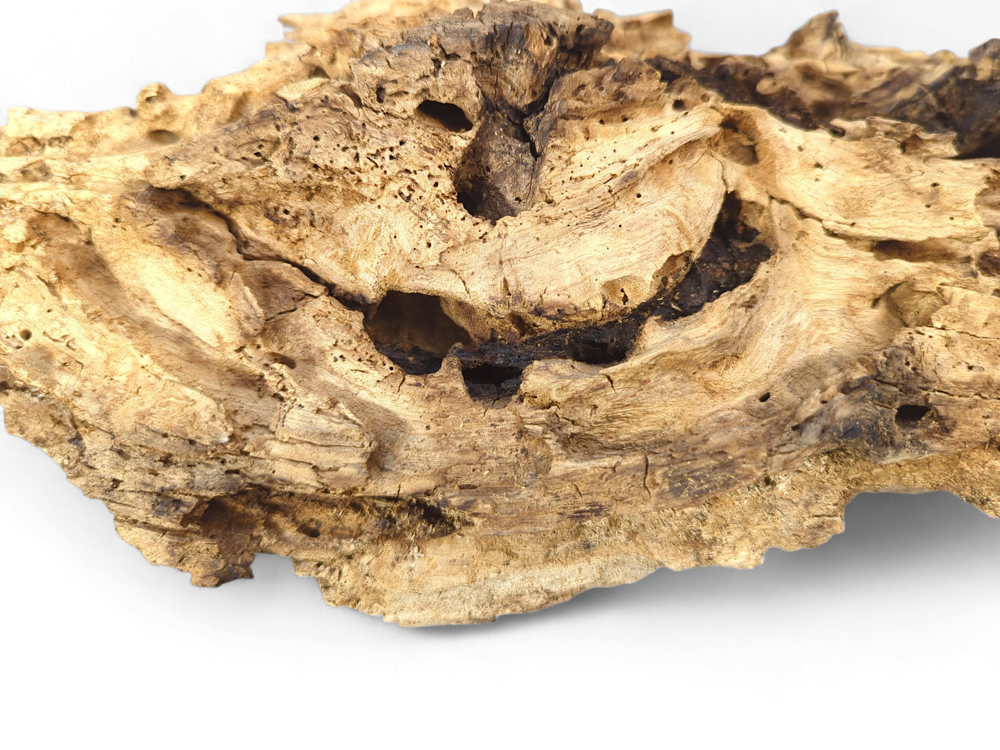 Textured, weathered light brown driftwood with deep cracks, numerous small holes, and dark organic cavities on white.