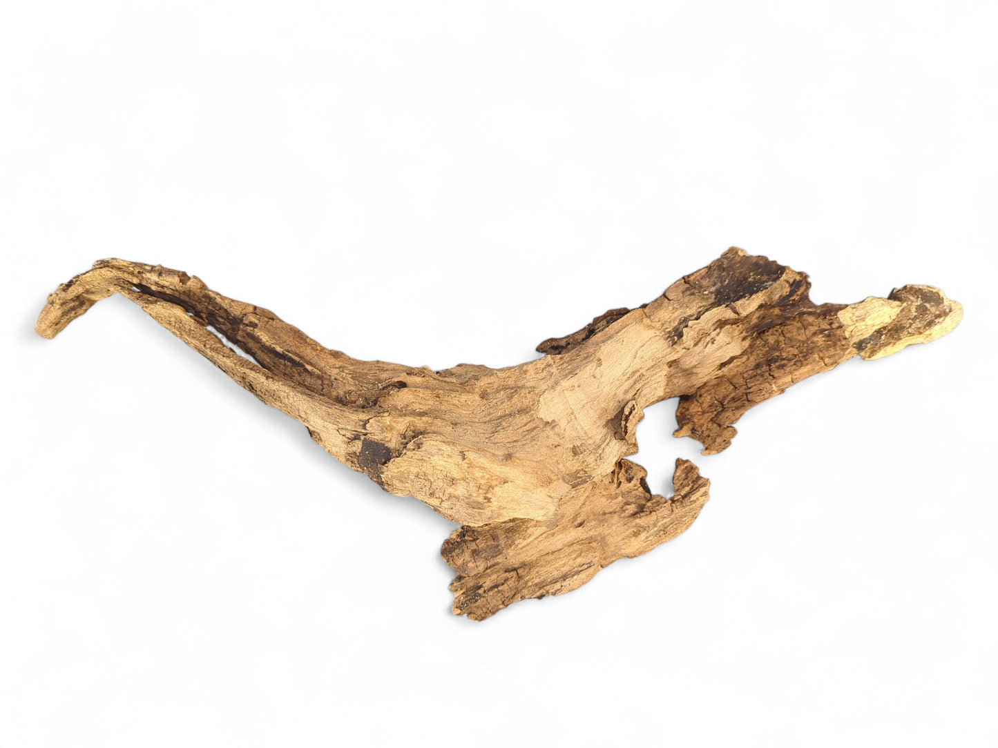 A natural, light brown twisted driftwood piece with a weathered, textured surface and prominent curved lines.