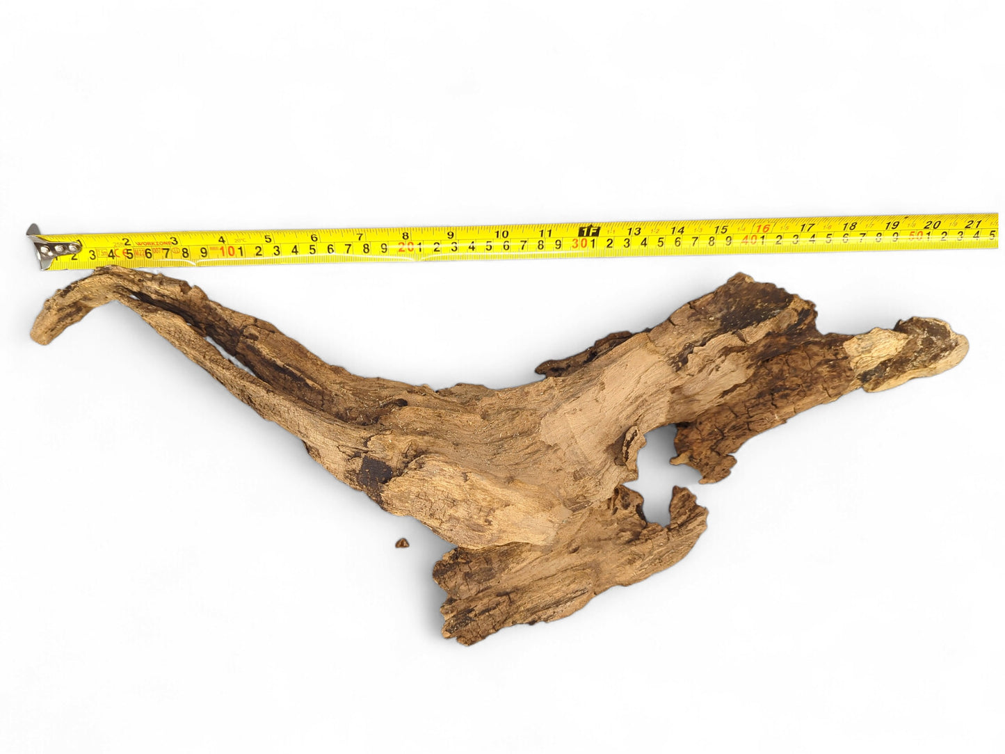 Weathered, light brown driftwood piece with intricate texture and curved lines, shown with a yellow measuring tape.